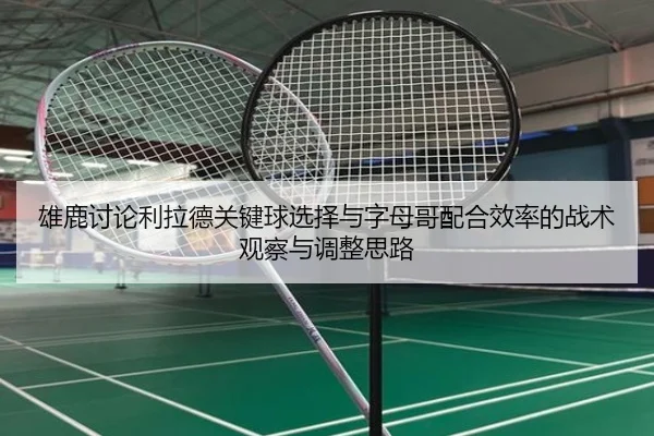 雄鹿讨论利拉德关键球选择与字母哥配合效率的战术观察与调整思路