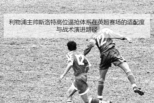 img_1781888510165_934_1_345.jpg
